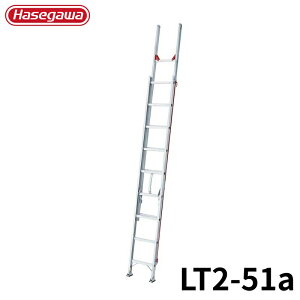 Hasegawa 2A͂(Nm) LT2-51a A~ ܂肽 Ⴝ q y y A~ r J nZK