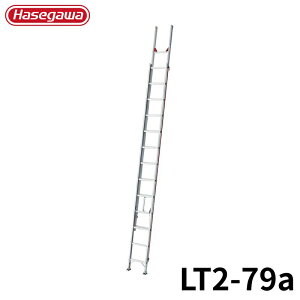 Hasegawa 2A͂(Nm) LT2-79a A~ ܂肽 Ⴝ q y y A~ r J nZK