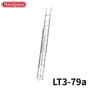 Hasegawa 3A͂(Nm) LT3-79a A~ ܂肽 Ⴝ q y y A~ r J nZK