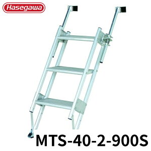 Hasegawa }`Xebp MTS-40-2-900S A~ ܂肽 Ⴝ q y y A~ r J nZK
