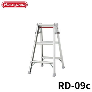 Hasegawa ͂pr RD-09c A~ ܂肽 Ⴝ q y y A~ r J nZK