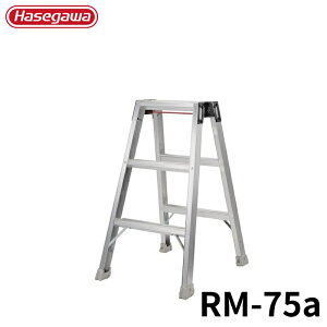 Hasegawa ̓~jr RM-75a A~ ܂肽 Ⴝ q y y A~ r J nZK