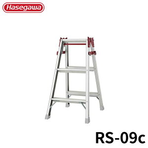 Hasegawa ͂pr RS-09c A~ ܂肽 Ⴝ q y y A~ r J nZK