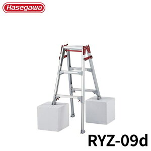 Hasegawa ͂pLkr RYZ-09d A~ ܂肽 Ⴝ q y y A~ r J nZK