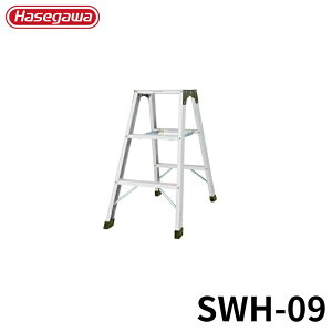 Hasegawa r SWH-09 A~ ܂肽 Ⴝ q y y A~ r J nZK