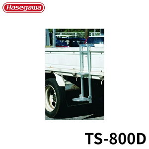 Hasegawa gbNXebp[ TS-800D A~ ܂肽 Ⴝ q y y A~ r J nZK