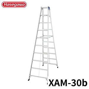 Hasegawa r XAM-30b A~ ܂肽 Ⴝ q y y A~ r J nZK