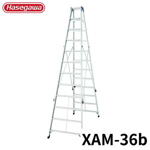 Hasegawa r XAM-36b A~ ܂肽 Ⴝ q y y A~ r J nZK