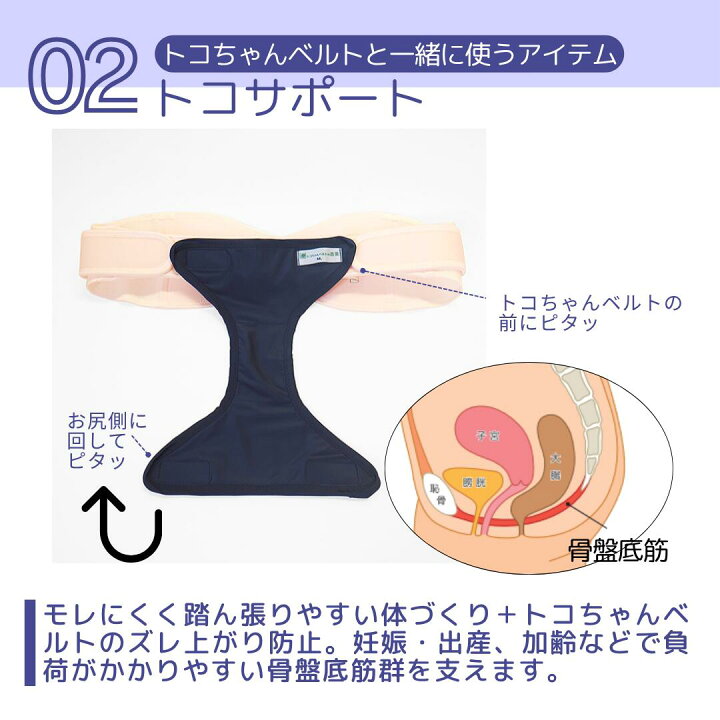 楽天市場】【クーポン使える】【公式】 Lトコちゃんベルト2 オフ 