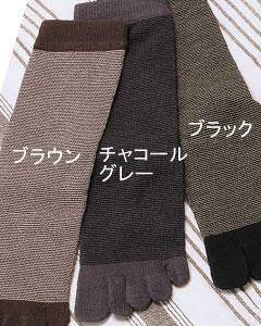 yLINEN[|z5{w \bNX C ܖ{w amp ׃{[_[ Y Y { ΍ ʋC Ȃ [M 1/2]