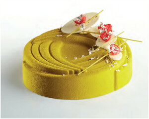 y50%OFFzyp{[jzyPavoCAKEzPK005180×h45mm×6ZbgigCtjeʁF1000ml}gt@[ }gt@ p{[j C^A VR^ [h