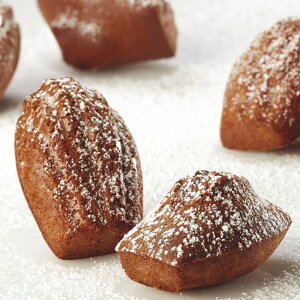 y20%OFFzyp{[jzPavoFLEXip{tbNXj 600x400mm~jE}h[k^}gt@[ }gt@ p{[j C^A VR^ [h