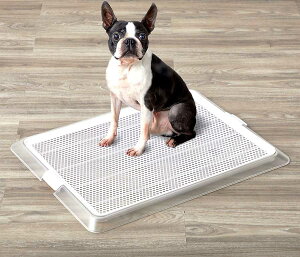 {rAR ybg[ NAbV MTCY p CeAgC