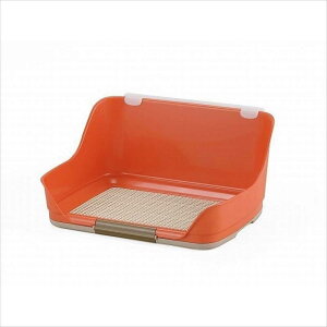 {rAR  EH[g[ S IW  gC j̎q ̎q