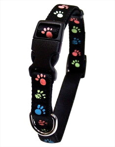 ylR|XΏہ^2_܂Łz~tbgJ[ 10 ubN ^pELp 