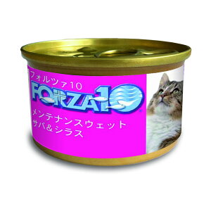 |Cg20{ FORZA10 eiX  To&VX 85g Lbgt[h EFbgt[hyPU1009z