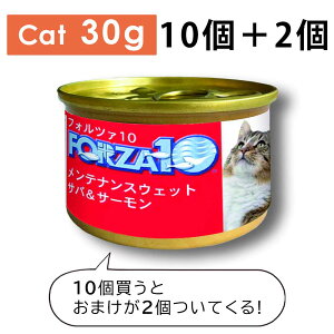 10ʂ2ʂĂ+Iׂ邨܂ FORZA10 eiX  To&T[ 85g Lbgt[h EFbgt[hSETyPU1111z