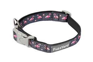 FuzzYard �t�@�Y���[�h �l�I�v���[���@�J���[�@�t�@�u�~���S 15 ���p �J���[��� ���^�� �����^���yPU1219�z