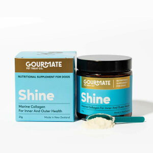 yELzGOURMATE OCg Shine VC 畆EсET|[gipE_[j 21g pTvg LpTvgyPUGSz