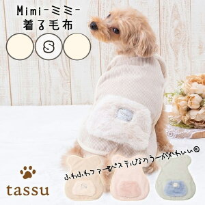 ѕz STCY mimi ~~ tassu ^bX 2024NV ~ ybgpѕz ybgp~ hbOEFA lR|XΏ1܂