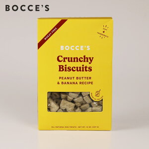 ܖ2026N324 BOCCEfS {b`F[Yx[J[ s[ibco^[oii@rXPbg  @THE BASICS 397g