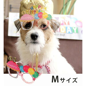 LIFELIKE CtCN v~A o[Xf[ Kl M aObY