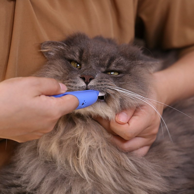 オリジナル ライオン商事 PETKISS ペットキッス コンパクト 指サック 歯ブラシ 犬猫用 お手入れ、トリミング用品 