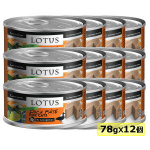 yLzLotus [^X Lbg_bNpe78g12 Lbgt[h EFbgt[h FOR CAT h{HyPU1127z