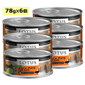 yLzLotus [^X Lbg_bNpe78g6 Lbgt[h EFbgt[h FOR CAT h{HyPU1127z