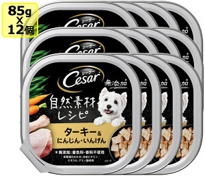 }[X CesarV[U[ RfރVs ^[L[ɂ񂶂E񂰂 85gx12 SET hbOt[h EFbgt[h pe