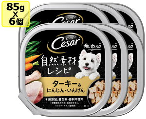 }[X CesarV[U[ RfރVs ^[L[ɂ񂶂E񂰂 85x6 SET hbOt[h EFbgt[h pe