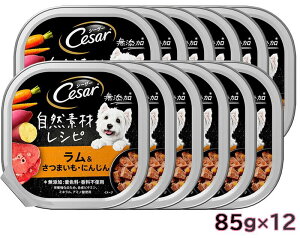 CesarV[U[ RfރVs ܂Eɂ񂶂 85gx12 hbOt[h pe^Cv EFbgt[hySETz