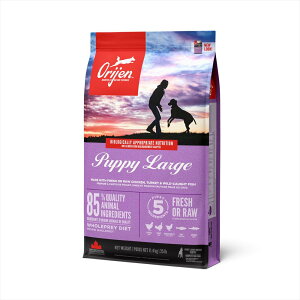 �y���zOrijen �I���W�� �p�s�[���[�W 11.4kg �h���C�t�[�h �h�b�O�t�[�h �q���p�yPOINTUP20�z