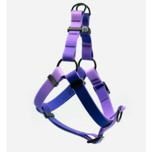 WOOF CONCEPTE[tRZvgEEH[^[v[tGvXn[lXLyPU1127z