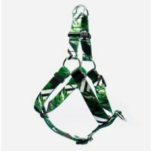 WOOF CONCEPTE[tRZvgEACRjbN MAUI }EC XebvCn[lXLyPU1111z