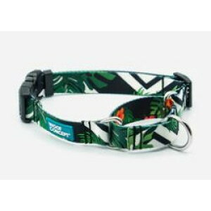 WOOF CONCEPTE[tRZvgEACRjbN MAUI }EC }[`Q[ S ցyPU1111z