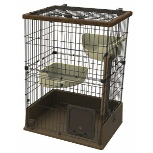 yeBI necoco eL̂ɂ҂ Lbg[T[N