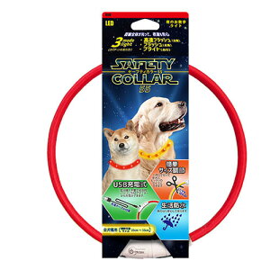 vbc Z[teBJ[ 55 bh ^^p  [d Cg lR|X[M 1/1]