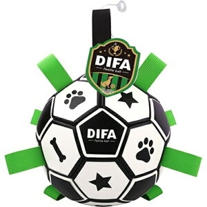 PLATZ vbc DIFA fBt@ Familie ball t@~G{[ L NVbN p{[ p