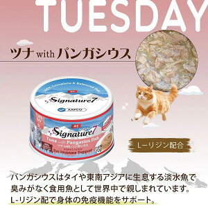 Signature7 VOl`[7 Gravy Broth OCr[uX  ciwithpKVEX 70g Lpt[h EFbgt[h h{H SNΏہySS1204zyVX[p[SALE