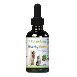 Pet Wellbeing ybgEFr[CO Healthy Gum o 59ml Lp wV[KyPU0911z