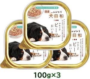 a 炩r[t  (AEh10)100gx3pbN p hbOt[h EFbgt[hySETzyPU0402z