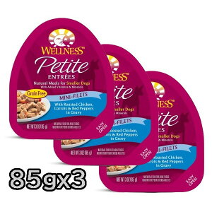 WELLNESS v`Ag O[r[d `L 85gx3pbN EFlX hbOt[h EFbgt[h Petite ENTEESySETz `N^Cv h{HySETzyPU1204z