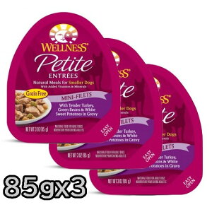 WELLNESS v`Ag O[r[d `L&^[L[ 85gx3pbN EFlX hbOt[h EFbgt[h Petite ENTEESySETz `N^Cv h{HyPU1204z