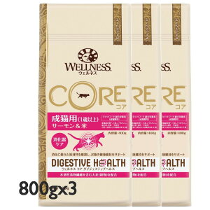 WELLNESS CORE EFlXRA RA_CWFXeBuwX Lpi1ΈȏjT[ 800gx3܁ySETzyPU1015z