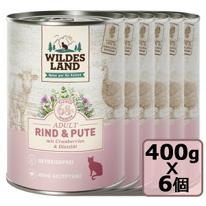 ܂ Wildes Land@Chh NVbN r[t^[L[ƃNx[400gx6 Zbg SETʋl Lbgt[h EFbgt[h h{H KiyPU1204z