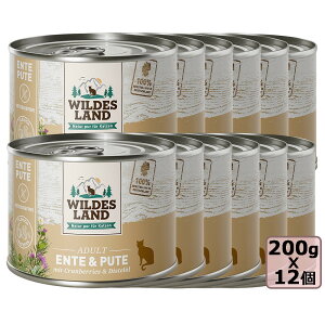 Iׂ邨܂ Wildes Land@Chh NVbN _bN^[L[Nx[200gx12 Zbg SETʋl Lbgt[h EFbgt[h h{H KiyPU1127z