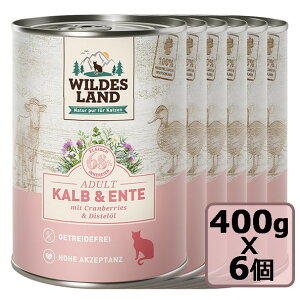 ܂ Wildes Land@Chh NVbNe_bNƃNx[400gx6 Zbg SETʋl Lbgt[h EFbgt[h h{H KiyPU1127z