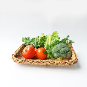 y100~N[|zzzeBiC[ XNGA | UTILE eB oXPbg Lb`G ؂ t  f v[g 