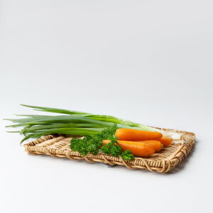 [OK eBiC[ 郌Ng | UTILE eB oXPbg Lb`G ؂ t  f v[g